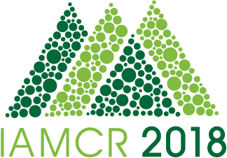 Reimagining Sustainability - IAMCR 2018