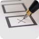elections 2008